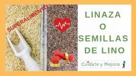 semillas-lino-o-linaza Linaza o semillas de lino